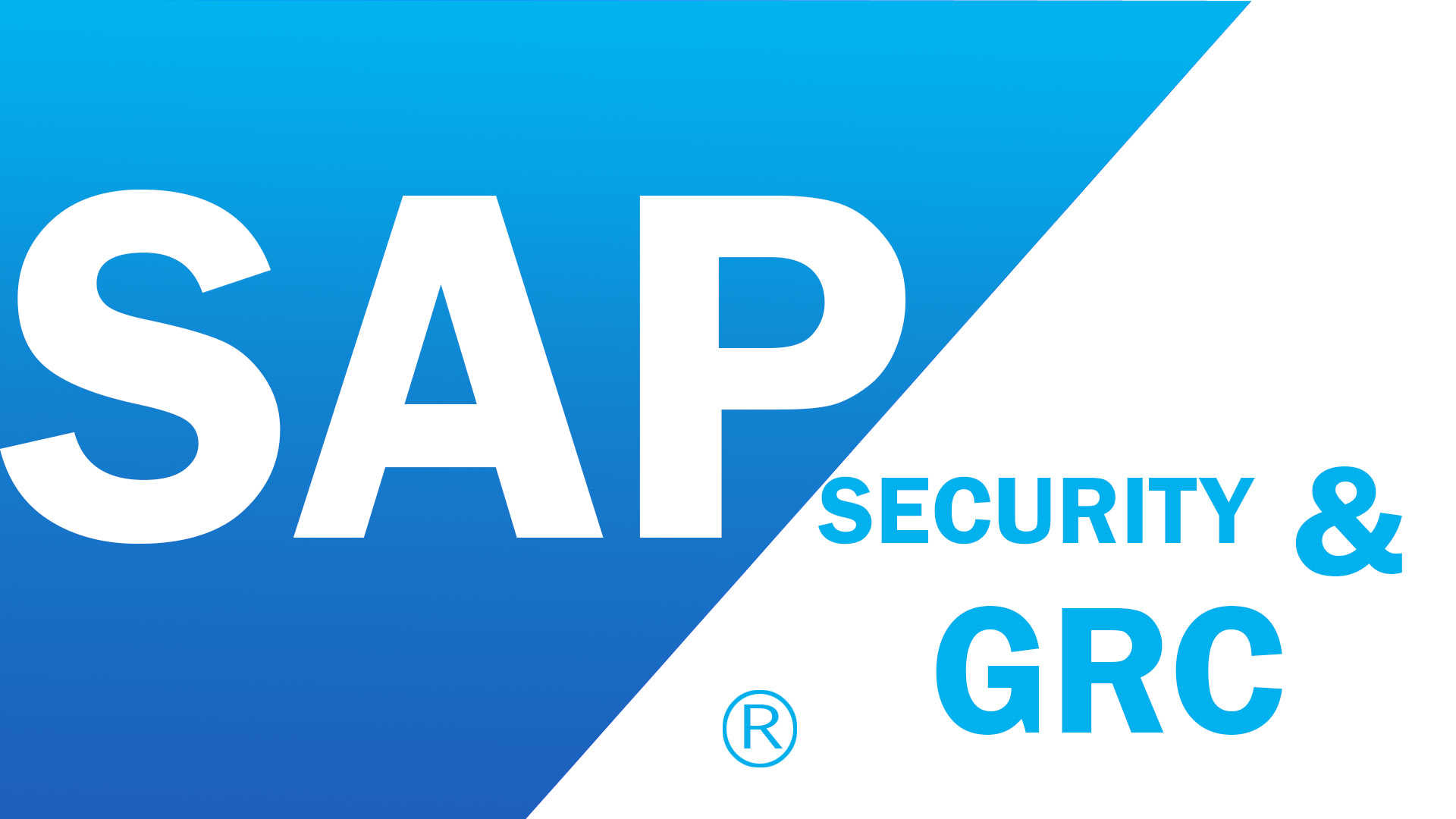 SAP GRC tool