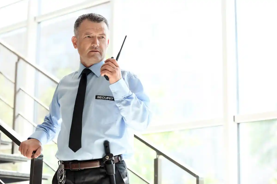 Professional security services